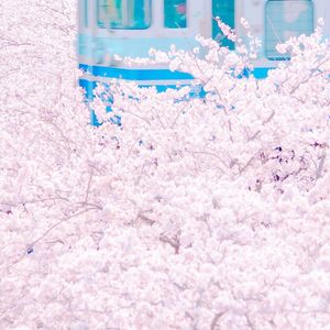 巨型怪物粗暴H贯穿3D
